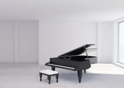 Professional Piano Service