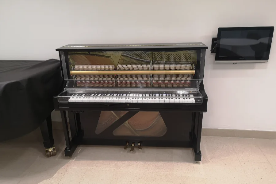 Steps Involved In A Professional Piano Restringing Process in Baltimore, MD